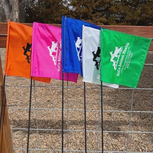 May include: A row of colorful flags in orange, pink, blue, white, and green, each with a black silhouette and text. The flags are attached to black cords and are displayed against a metal fence and a brown wooden structure.