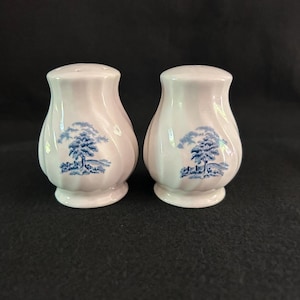 Vintage Blue Willow Pattern Salt and Pepper Shakers
