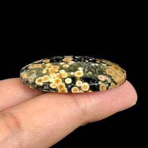 Pode incluir: Uma pedra preciosa polida com um padr&atilde;o salpicado de bege, creme e preto. A pedra em forma oval &eacute; segurada por um dedo contra um fundo preto. A superf&iacute;cie da pedra tem um acabamento liso e brilhante, destacando as varia&ccedil;&otilde;es naturais de cor e textura.