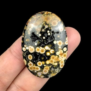 Pode incluir: Uma pedra preciosa oval com uma superf&iacute;cie polida. A pedra apresenta um padr&atilde;o de manchas e redemoinhos pretos, castanhos e creme. A gema &eacute; segurada em uma m&atilde;o contra um fundo preto. A pedra &eacute; provavelmente usada para joias ou fins decorativos.
