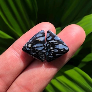 May include: Two triangular gemstones with a black base and a pattern of light blue and white veins. The stones are held in a hand against a backdrop of green leaves. The gemstones are likely for jewelry making.