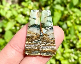 Fluss Jaspis Cabochons - Einzigartiger Musteredelstein für die Schmuckgestaltung
