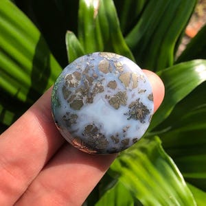 Polierter runder Markasit Cabochon - Metallische Einschlüsse & Erdtöne