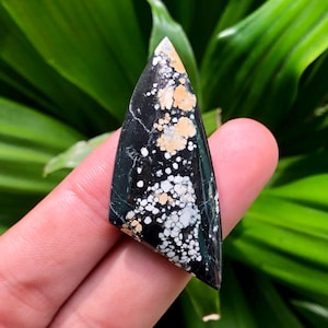 Pode incluir: Uma pedra preciosa polida com formato triangular. A pedra apresenta uma base preta com inclusões brancas, bege e creme. A pedra preciosa é segurada em uma mão, com um fundo de folhas verdes.