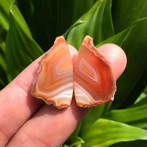 Sumatra Carnelian Agate Cabochon Pair: Freeform Gemstone Jewelry