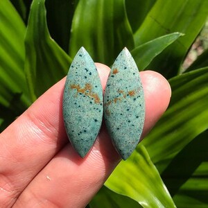 May include: Two teardrop-shaped gemstones with a turquoise base color and speckled with dark blue and brown inclusions. The gemstones are held against a backdrop of green foliage, highlighting their natural beauty and unique patterns. These stones are ideal for jewelry making.