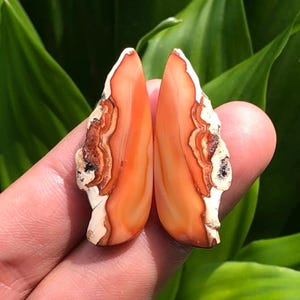 Sumatra Carnelian Agate Cabochon Pair: Freeform Gemstone Earrings