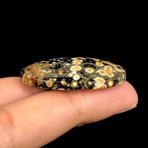 Pode incluir: Uma pedra preciosa oval polida com um padr&atilde;o salpicado de creme, castanho e preto. A pedra &eacute; segurada num dedo contra um fundo preto, mostrando as suas cores e texturas naturais. A pedra preciosa &eacute; provavelmente usada para joias ou fins decorativos.