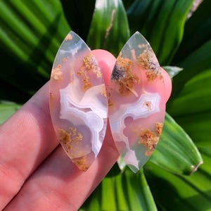 May include: Two polished, teardrop-shaped gemstones. The stones have a translucent base with pink, white, and brown inclusions. The gemstones are held against a backdrop of green foliage, highlighting their natural beauty and intricate patterns.