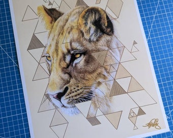 Lioness 11x14 Art Print