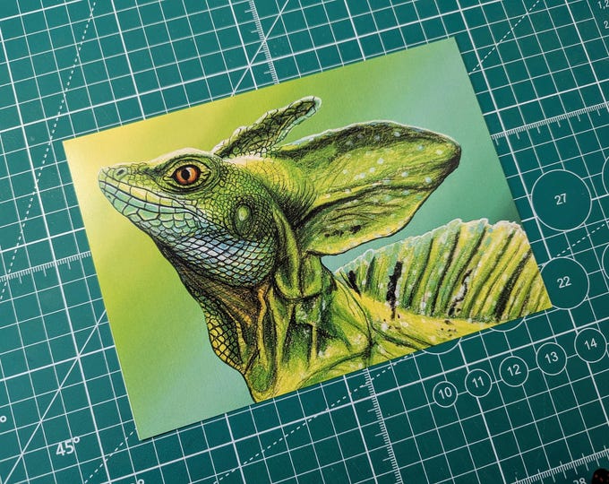 Featured listing image: Basilisk Lizard 5x7 Art Print