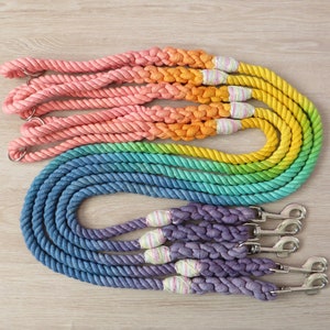May include: A set of six colorful dog leashes, featuring a rainbow of colors, including pink, orange, yellow, green, blue, and purple. The leashes are made of braided rope and have metal clips.