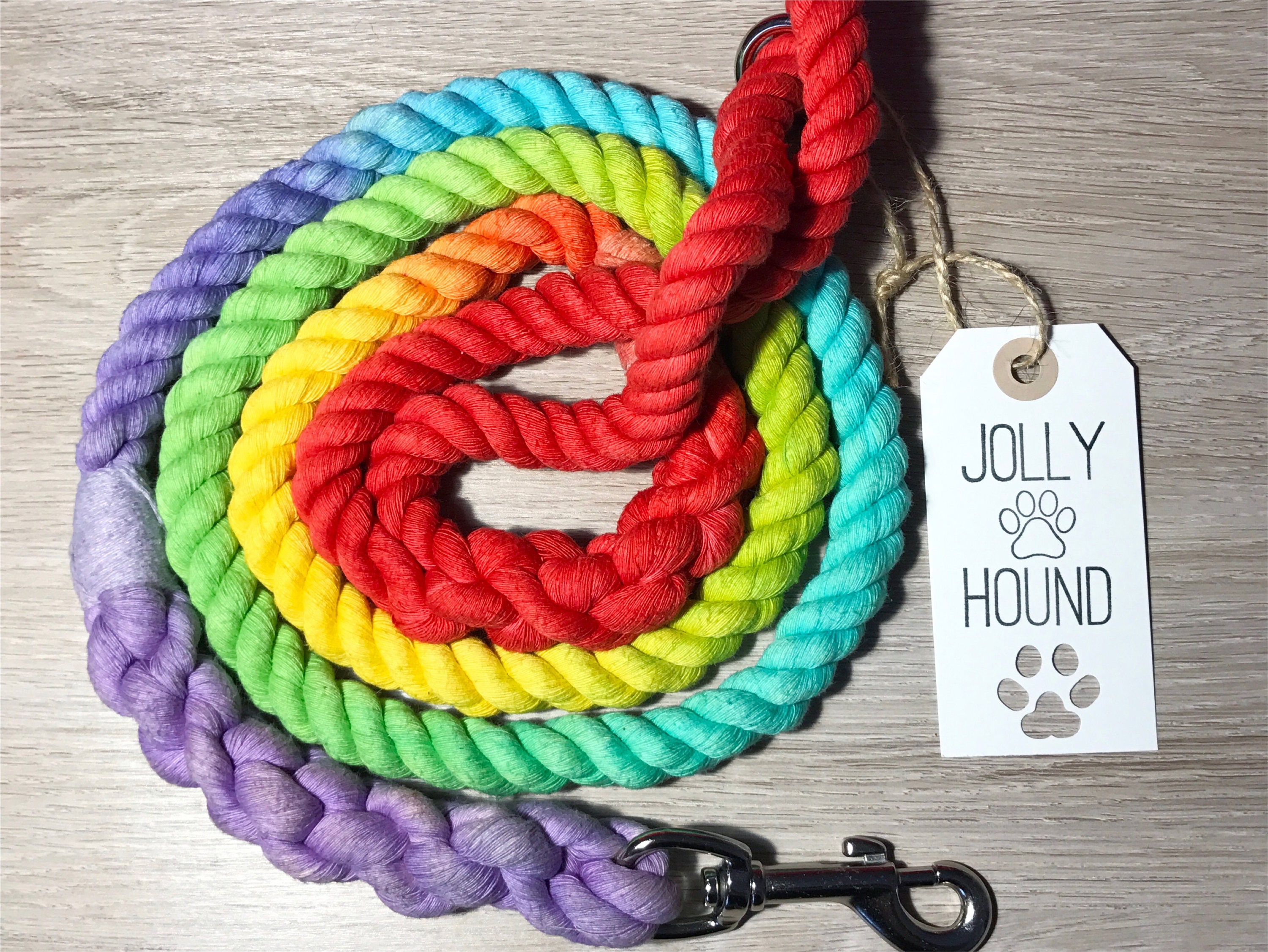 16mm Rainbow Dog Lead / rope dog lead / rope lead / rope dog Etsy