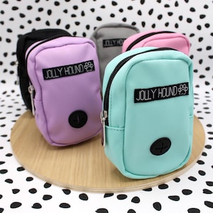 Dog Treat Pouch with Poop Bag Holder