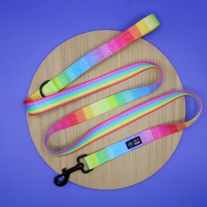 Happy Days Dog Leash / Dog Lead / Dog Leash / Rainbow Dog Lead