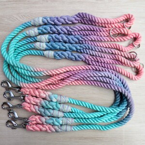 May include: Set of five ombre dog leashes in shades of pink, purple, and blue. Each leash is made of braided rope with a silver metal clip.