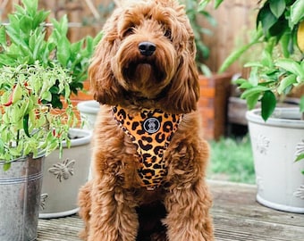 Leopard Print Dog Harness – Adjustable, Pet Harness for Small to Large Dogs