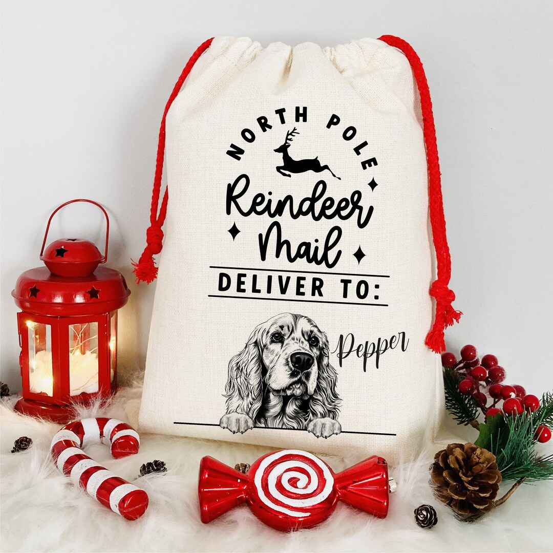 Personalised Dog Christmas Sack / Dog Xmas Sack / Christmas Dog Gift
