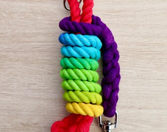 14mm Rainbow Rope Dog Leash