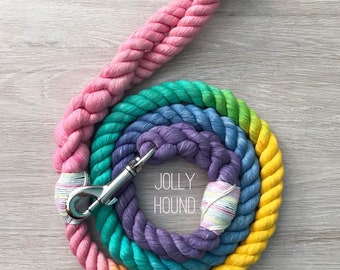 14mm Pastel Rainbow Dog Lead Rope