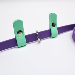 May include: A purple and mint green dog leash with a silver metal ring. The leash has two mint green leather tabs with silver metal snaps.