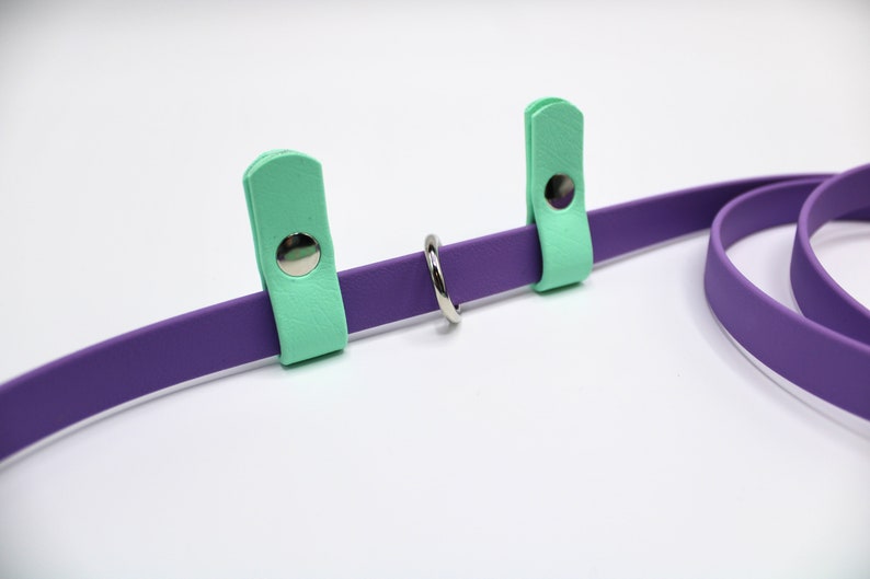 May include: A purple and mint green dog leash with a silver metal ring. The leash has two mint green leather tabs with silver metal snaps.