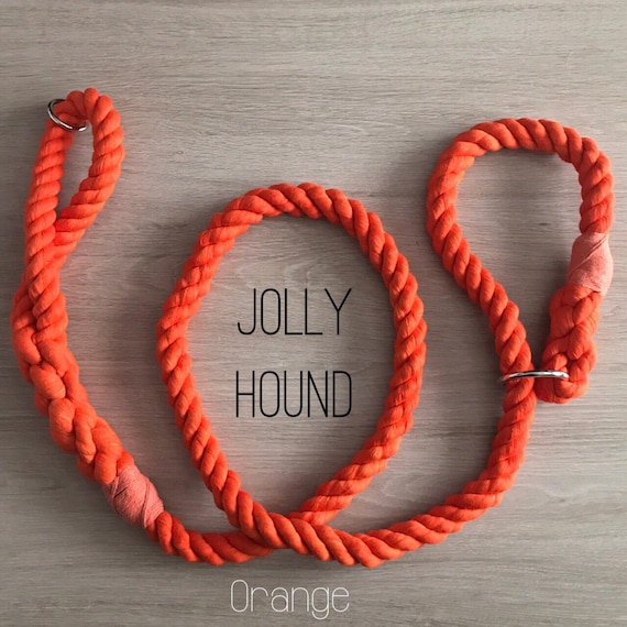 6 FT Slip Lead | Slip Leash Dog Lead | Dog Leash | Rope Dog Lead | Long Slip Lead