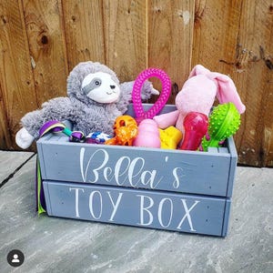 May include: A gray wooden toy box with the text "Bella's Toy Box" on the front. The box is filled with a variety of toys, including a pink plush bunny, a gray sloth, a pink and purple rope toy, and a variety of colorful chew toys.