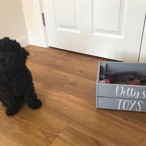 May include: A black dog sits on a wood floor next to a gray wooden crate with the words "Dotty's Toys" written on it.