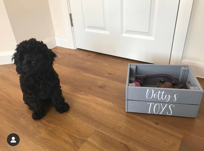 May include: A black dog sits on a wood floor next to a gray wooden crate with the words "Dotty's Toys" written on it.