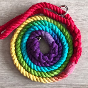 14mm Rainbow Rope Dog Leash