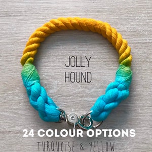 12mm Ombre Dog Collar / Ombré Rope / Dog Collar / Rope Collar / Dog Ombre rope collar / dog collar image 2