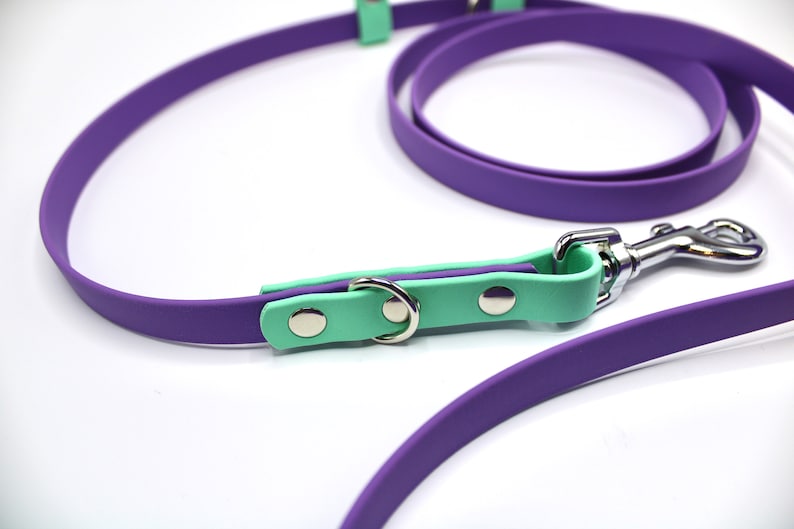 May include: A purple and mint green dog leash with a silver clip and a silver ring.