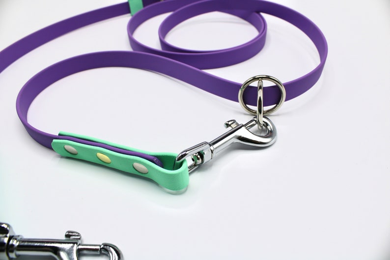 May include: A purple and light green dog leash with a silver clip and ring. The leash is made of a durable material and is perfect for walking your dog.
