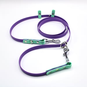 May include: A purple and mint green dog leash with a metal clip and two loops. The leash is made of a durable material and is perfect for walking your dog.