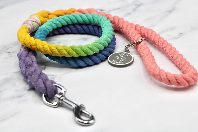 May include: A rainbow colored cotton rope dog leash with a silver clip and a silver tag that says "Jolly Hound".