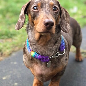 Dog Collar, Marble Rope Dog Collar 8mm, 12mm and 14mm image 7