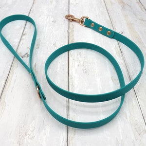 Waterproof Biothane Dog Leash: Durable Walking Lead