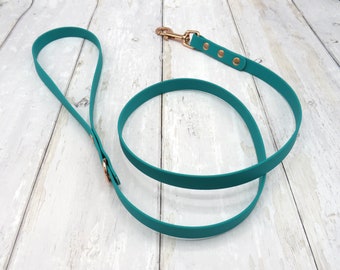 Waterproof Biothane Dog Leash: Durable Walking Lead