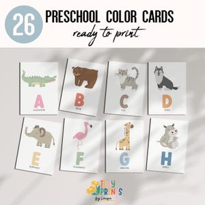 ABC Flash Cards, Educational Cards, A-Z Cards, Learn ABCs, Alphabet Flashcards, Kids Rainbow Colors Alphabet, Digital Download
