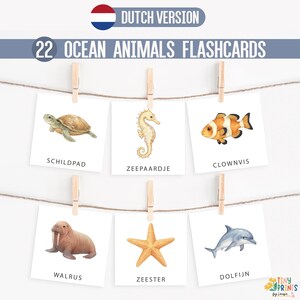 DUTCH, 22 Meerestierkarten, Montessori-Karten, Vorschulkarten, Regenbogen-Lernkarten zum Ausdrucken, SOFORTIGER DOWNLOAD