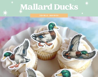 Stockenten Enten, Entenjagd | Essbare Cupcake Toppers | 12er Set