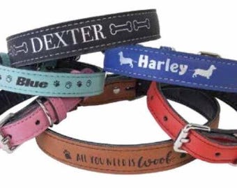 May include: Four different leather dog collars with personalized engravings. The collars are in black, blue, pink, and brown. The engravings include the names "Dexter", "Harley", "Blue", and "All you need is love".