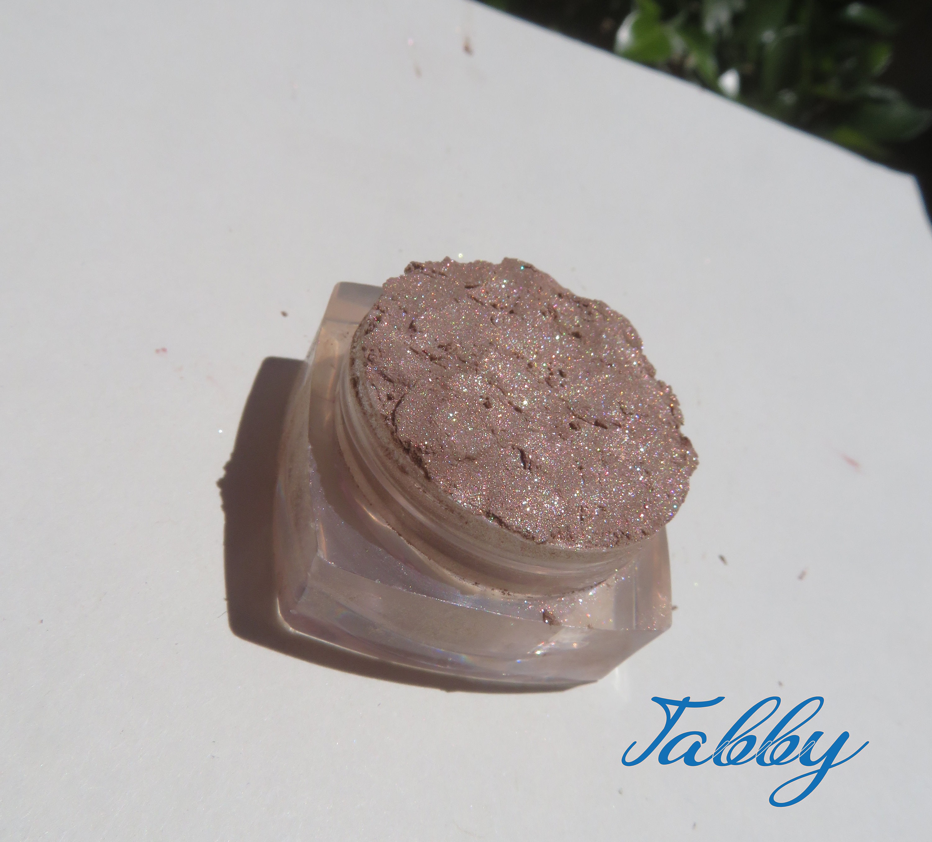 TABBY Taupe Brown Shimmer Mineral Loose Pigment Eyeshadow -  Finland