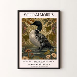 Puede incluir: Un cartel vintage que anuncia una exposición de estampados de algodón de William Morris en el museo de South Kensington en Londres. El cartel presenta un pájaro buceador negro y blanco nadando en un estanque con un fondo floral. El texto del cartel dice "William Morris Cotton Prints Exhibition, Nearest Station South Kensington, Mar. 12th to May, 18th Admission Free."