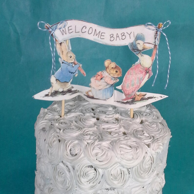 Shabby Chic Peter Rabbit cake topper fabric Peter Rabbit baby shower decoration C141