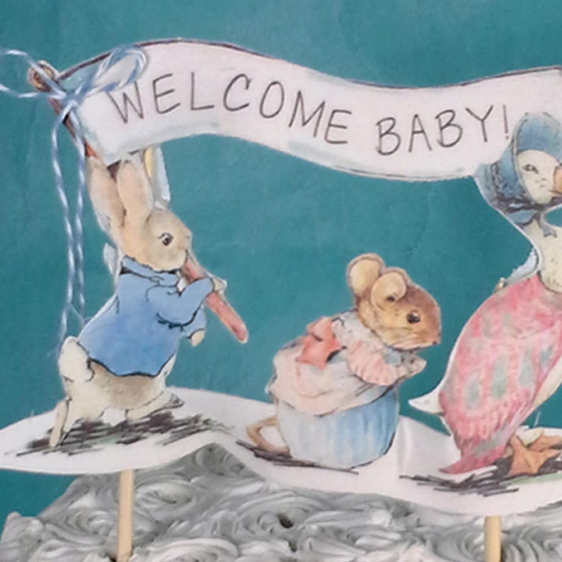 fabric Peter Rabbit baby shower decoration D152 Shabby Chic Peter Rabbit cake topper