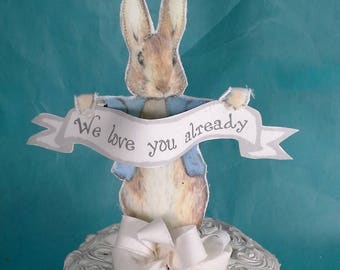Peter Rabbit cake topper, fabric Peter Rabbit baby shower party decoration Co41