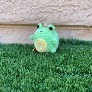 Reggie the Chubby Frog Prince