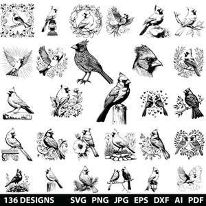 May include: A collection of 136 black and white digital illustrations of cardinals in various poses and settings. The illustrations include cardinals in flight, perched on branches, and in nests. The illustrations are perfect for crafting projects, scrapbooking, and digital design.